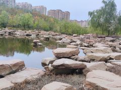 -小绿谷公园