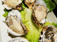 生蚝-金龙·打边炉(南京西路店)