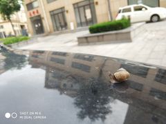 -黄金博物馆