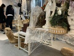 大堂-共舞时光猫咖·狗咖(新街口店)
