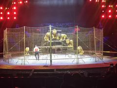 -珠海横琴长隆《卡卡虎奇遇记》