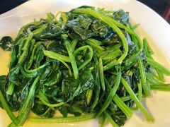 清炒菠菜-百家班(市府店)