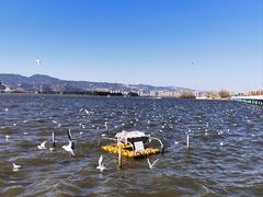 -滇池海埂公园
