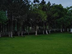 -瑶湖郊野森林公园