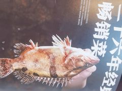 -潇湘码头·鲜湘菜(常营店)