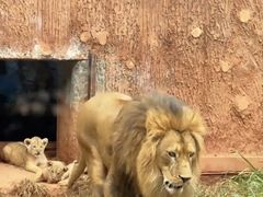-昆明动物园