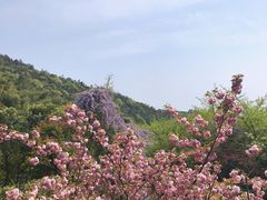 -九龙潭景区