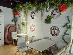 用餐区-Husky Go! 哈士奇体验馆·宠物咖啡厅狗咖