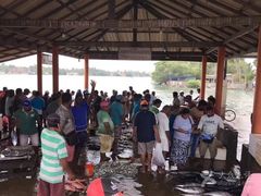 -尼甘布海鲜市场