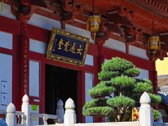 -灵谷景区