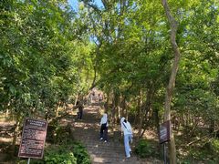 -紫金山山顶公园