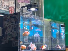 -華歡冰室-WahFoon(吉大店)