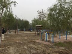游乐设施-杨柳青庄园