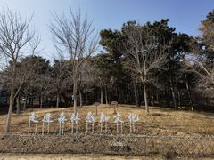 -北京西山国家森林公园