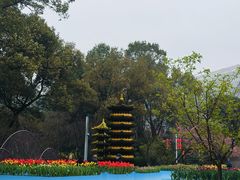 -南山植物园