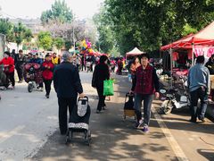 -济南市白马山小学