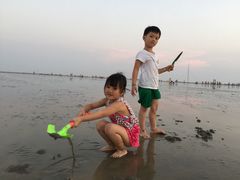 -碧海金沙