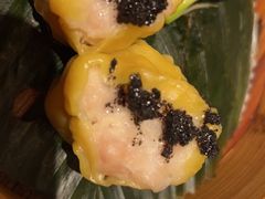 -点都德·毕德寮