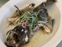 清蒸海石斑-好友缘酒家(会展中心店)