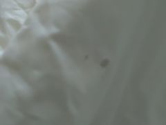 -扬州东关街文昌阁桔子水晶酒店