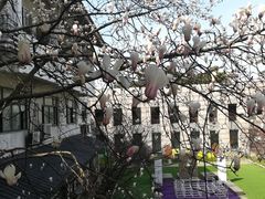 -苏州市姑苏区少年宫(沧浪分部)