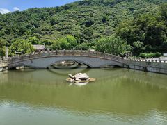 -阳台山森林公园