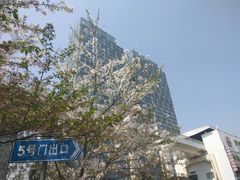 -樱苑(四川北路店)