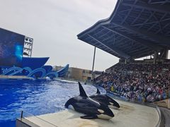 -上海海昌海洋公园