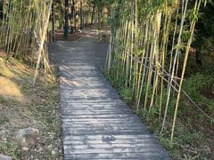 -南京市无想山景区