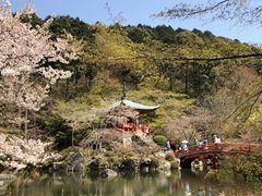 -醍醐寺