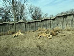 -北京野生动物园