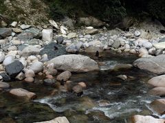 001414fkk00052q4qck00m-广元唐家河嘉怡客栈