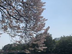 -成都市活水公园