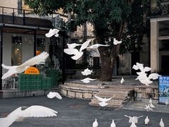 -赤坎·广东华侨国际旅游度假区