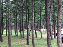 -塞罕坝国家级自然保护区