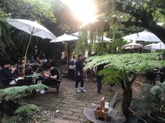 -Fern Forest Cafe