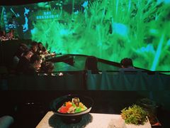 -地球美食剧场