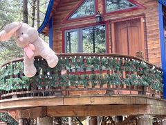 -洛阳白云山景区