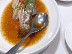 -新吉士·上海菜(浦东LCM置汇旭辉店)
