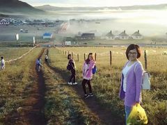 -乌兰布统草原
