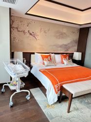 -巍阁月子中心(国贸店)