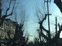 -犀牛家猪排