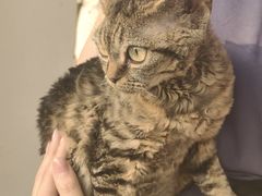 -捞王猪肚鸡火锅(金华义乌之心店)