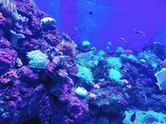 -成都浩海立方海洋公园