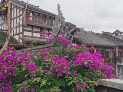 -磁器口古镇