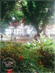 -圣轩·诗安国际母婴会所(渝中店)
