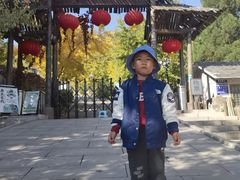 -遵化市禅林寺古银杏风景园