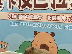 -万达广场(北京槐房店)