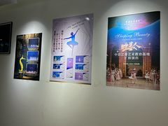 -中央芭蕾舞团·中芭艺蕾(酒仙桥明星校区)