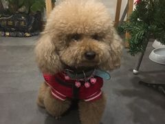 -沙青(江场二路店)